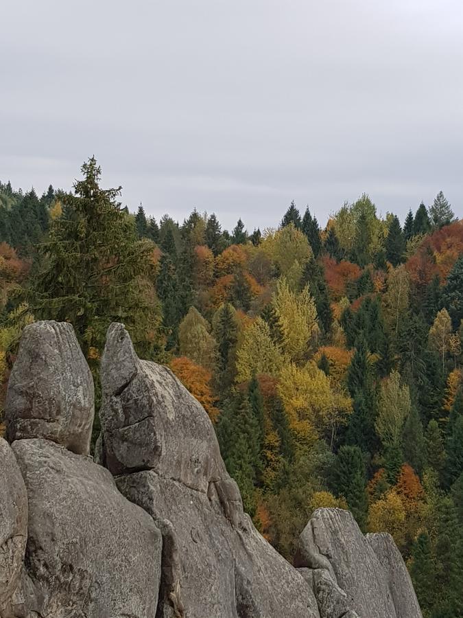 Dayarta Hotel Skhidnytsia Kültér fotó